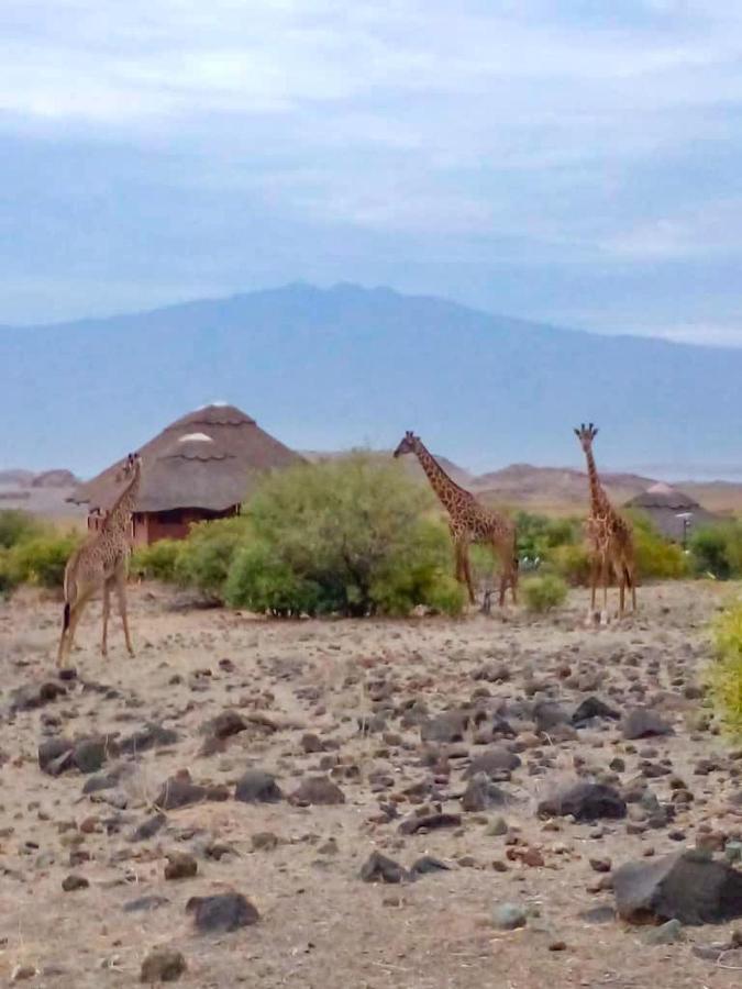 Africa Safari Lake Natron Camping Mtowabaga المظهر الخارجي الصورة
