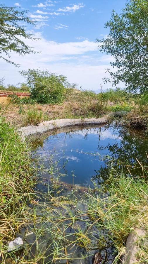 Africa Safari Lake Natron Camping Mtowabaga المظهر الخارجي الصورة